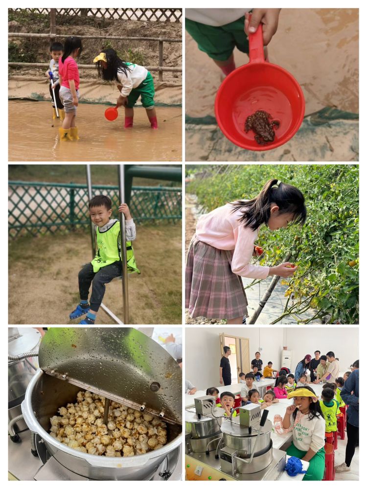 1681179600743489.jpeg 5.jpeg