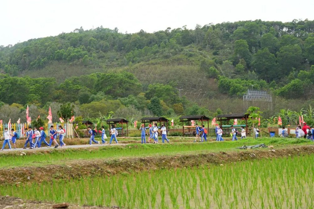美莲小学莅临红星闪闪农场探索农耕智慧